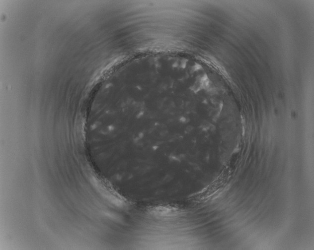 X0000066120542200604071914