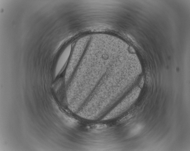 X0000066120543200604071914