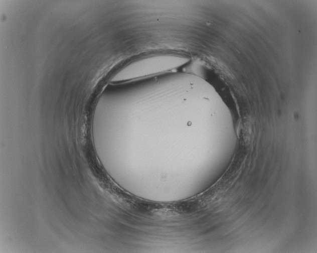 X0000066120544200604071914