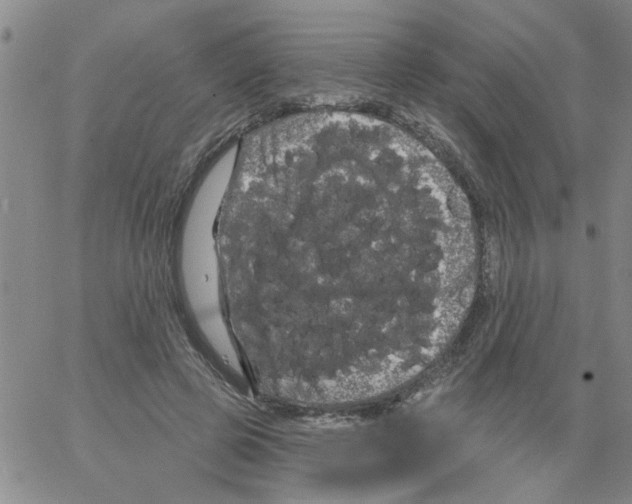 X0000066120545200604071914