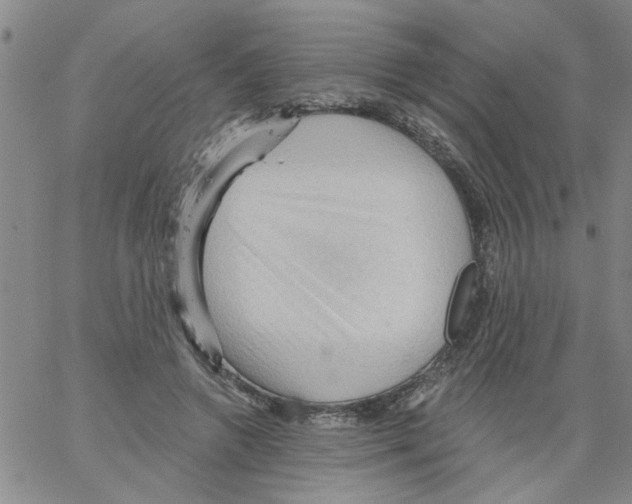 X0000066120546200604071914