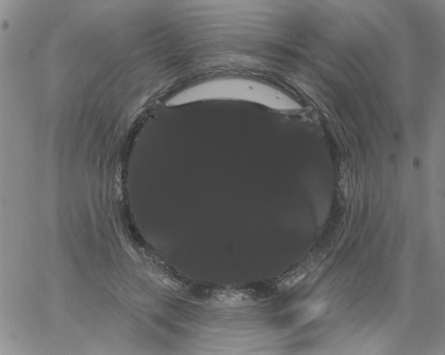 X0000066120547200604071914