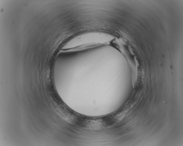 X0000066120548200604071914