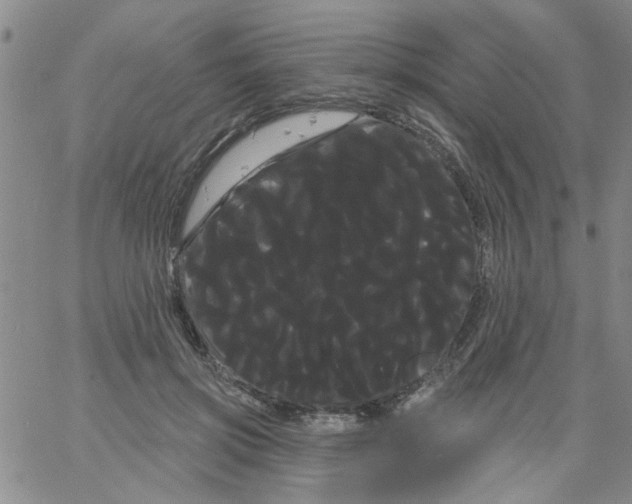 X0000066120549200604071915