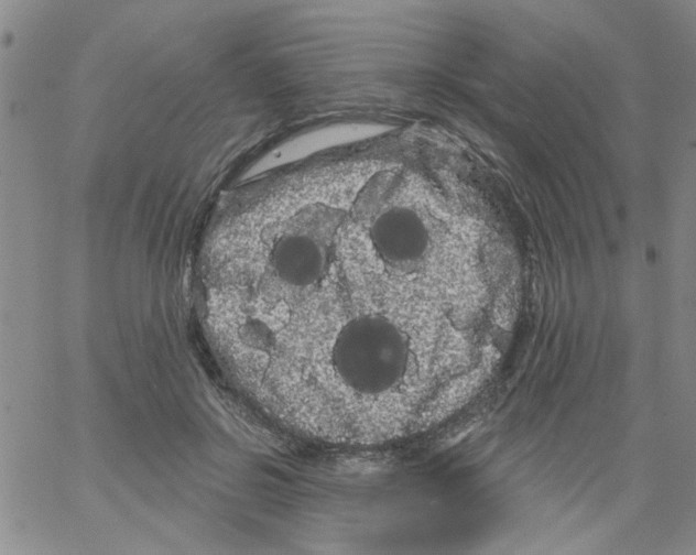 X0000066120550200604071915