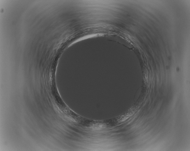 X0000066120551200604071915