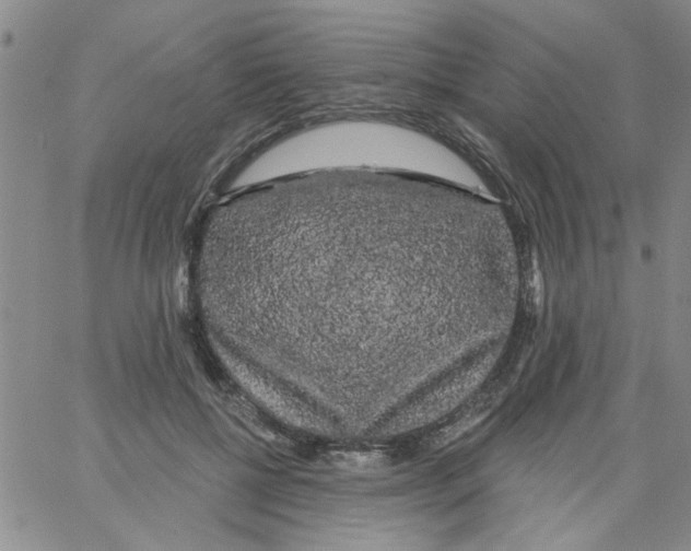 X0000066120552200604071915