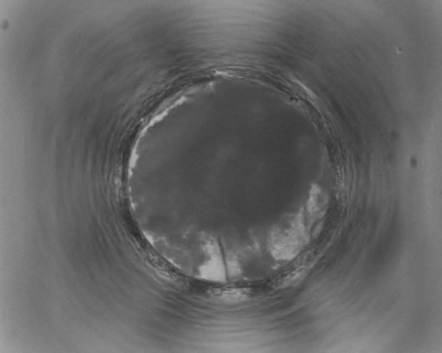 X0000066120553200604071915