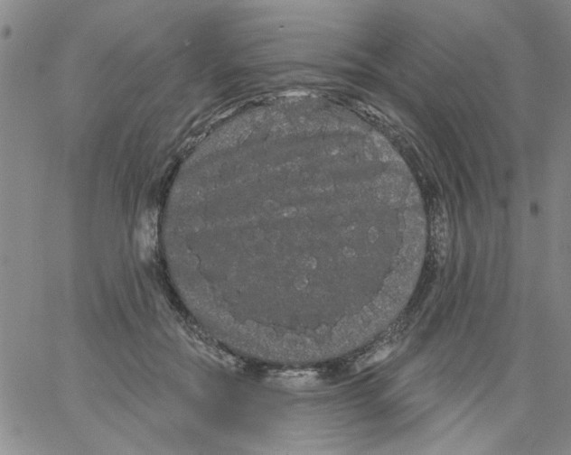 X0000066120554200604071915