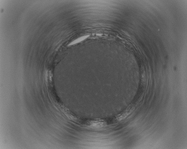 X0000066120555200604071915