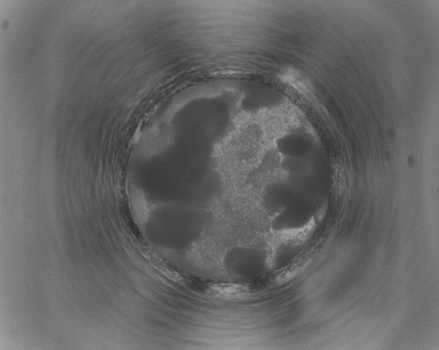 X0000066120557200604071915