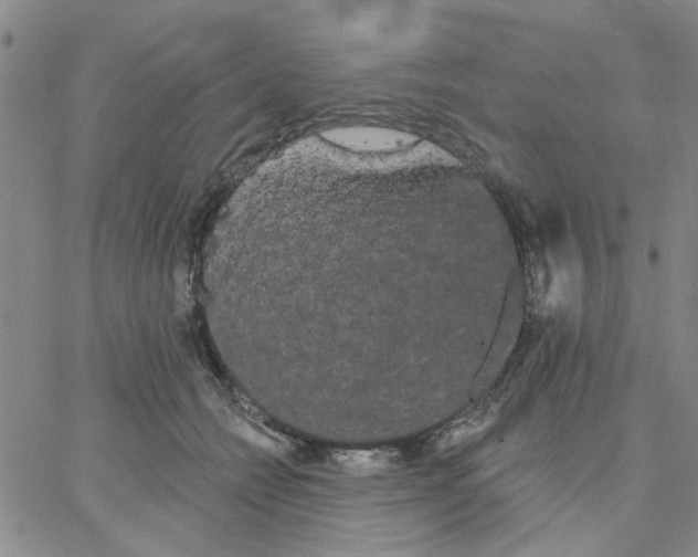 X0000066120558200604071915