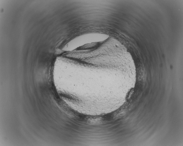 X0000066120560200604071915