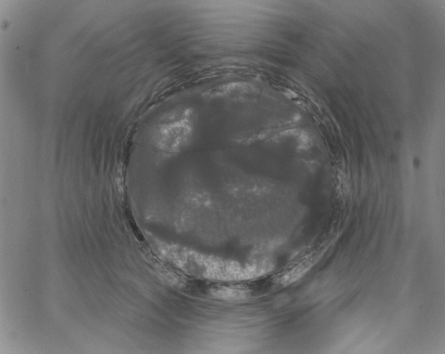 X0000066120561200604071915