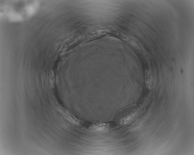 X0000066120563200604071915