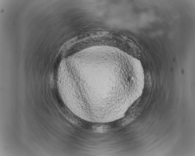 X0000066120564200604071915