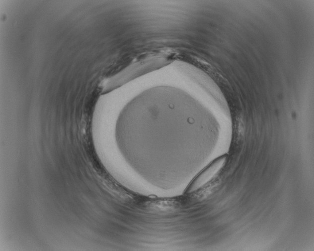 X0000066120567200604071915