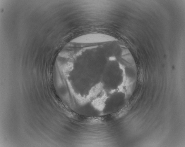 X0000066120569200604071915