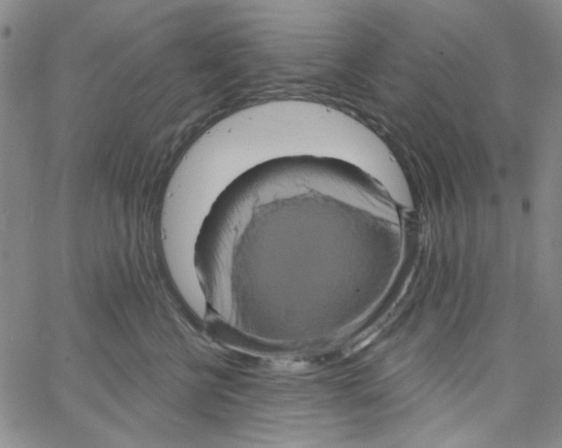 X0000066120570200604071915