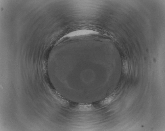 X0000066120571200604071915