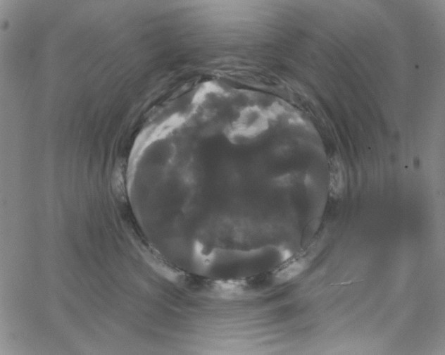 X0000066120573200604071915