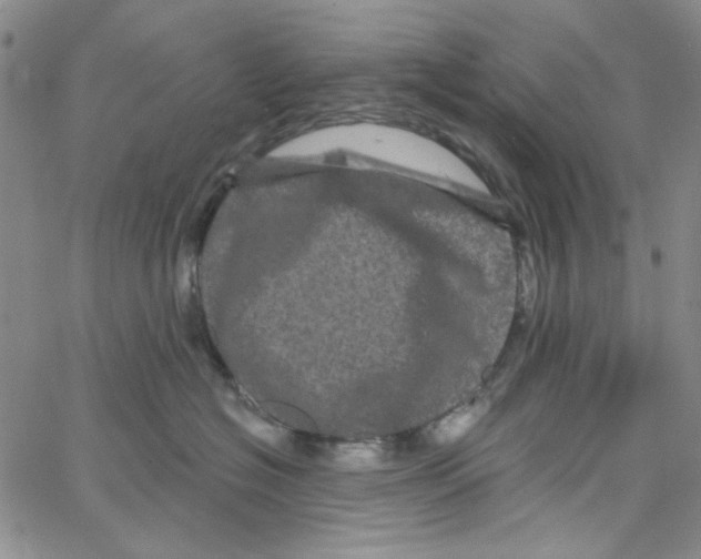 X0000066120574200604071915