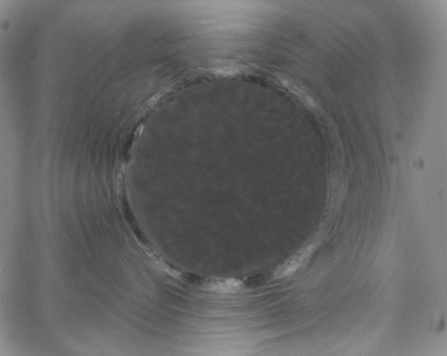 X0000066120576200604071915