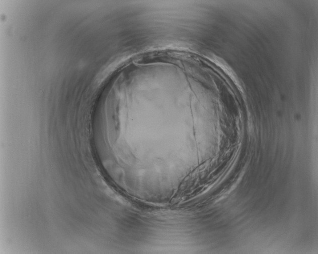 X0000066120577200604071914