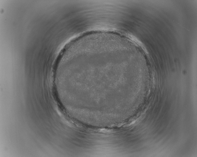 X0000066120580200604071914