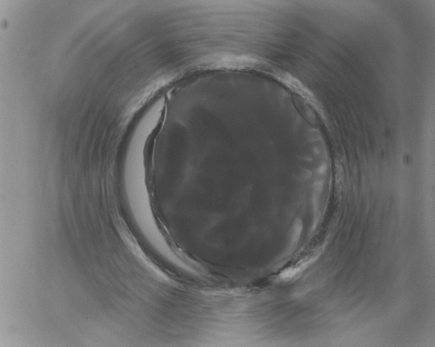 X0000066120581200604071914