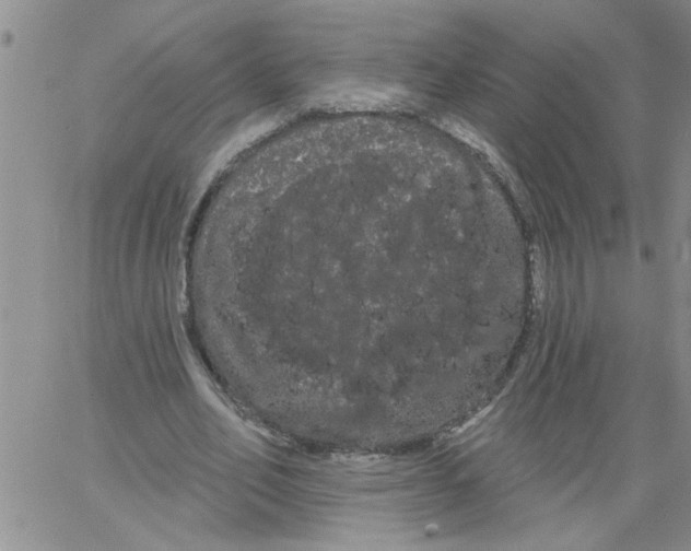 X0000066120582200604071914