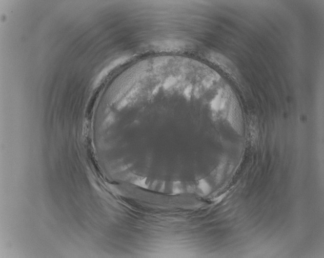 X0000066120583200604071914