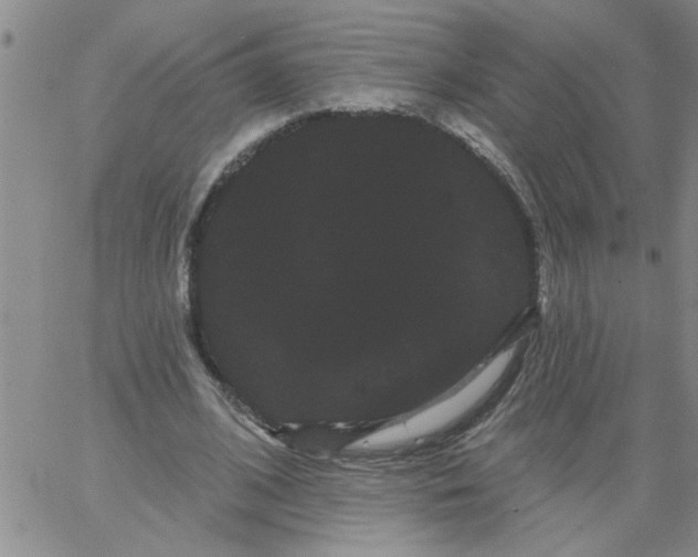 X0000066120584200604071914