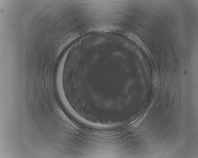 X0000066120585200604071914