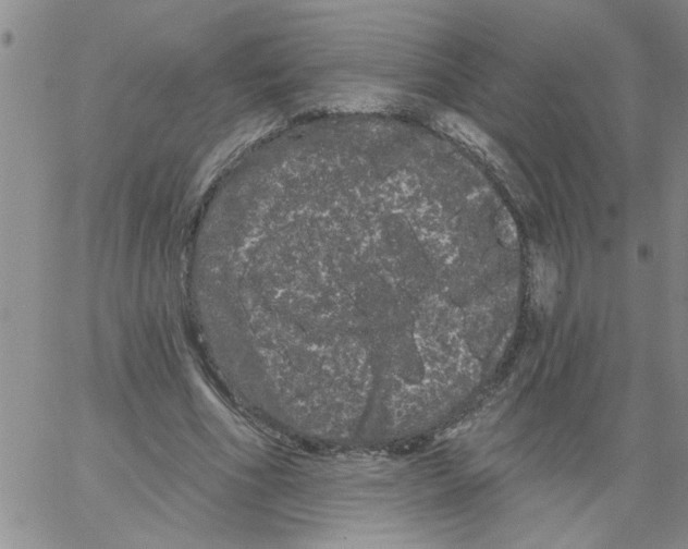 X0000066120586200604071914