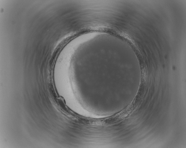 X0000066120587200604071914