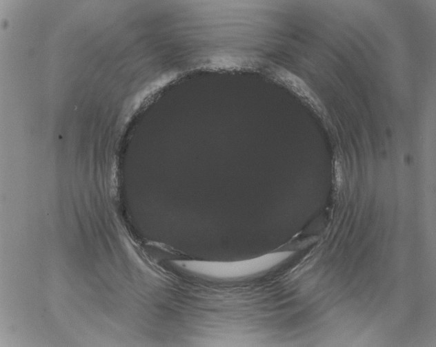 X0000066120588200604071914