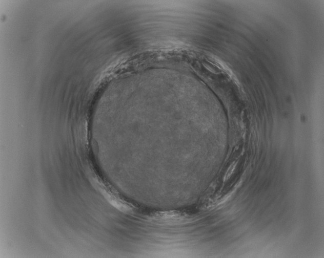 X0000066120589200604071914