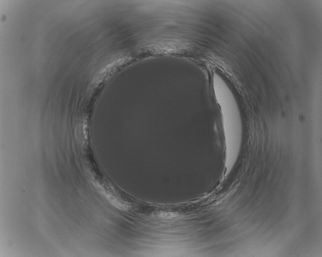 X0000066120590200604071914