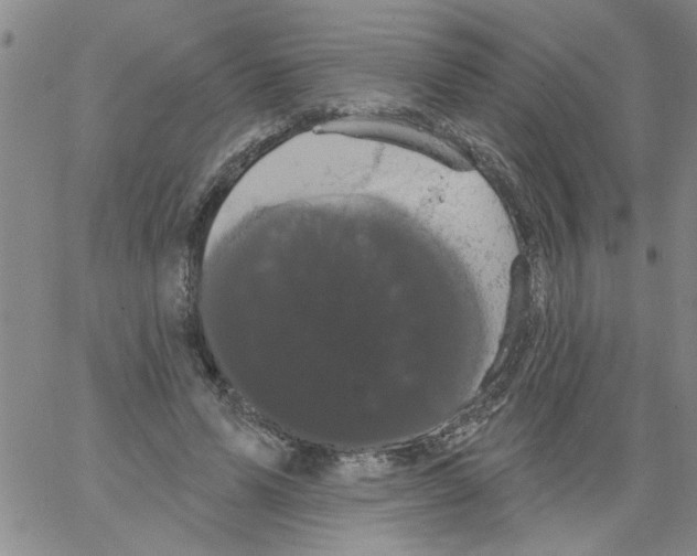 X0000066120591200604071914