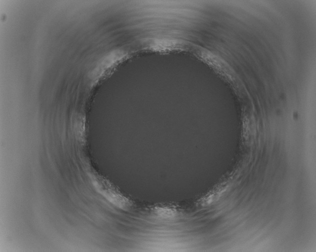 X0000066120592200604071914