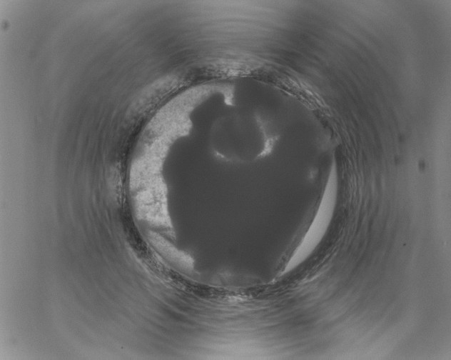 X0000066120594200604071914