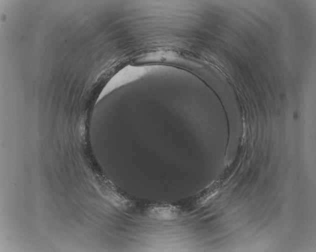 X0000066120595200604071914