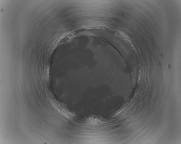 X0000066120596200604071914