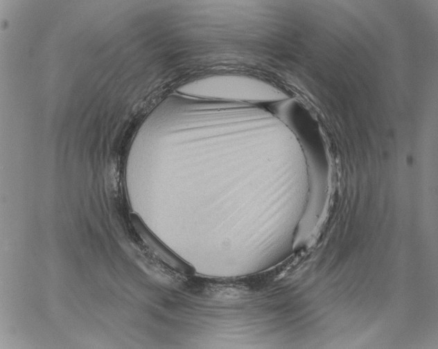 X0000066120597200604071914