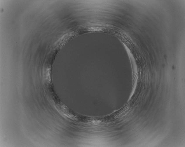 X0000066120598200604071914