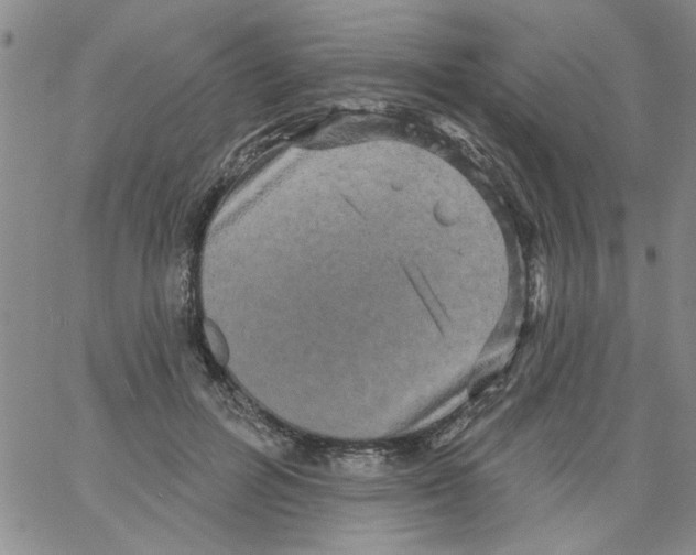 X0000066120600200604071914