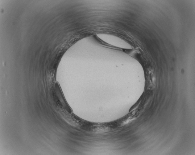 X0000066120601200604071914