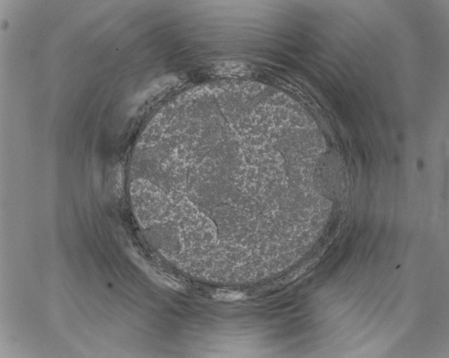 X0000066120602200604071914