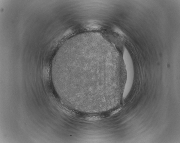 X0000066120604200604071914